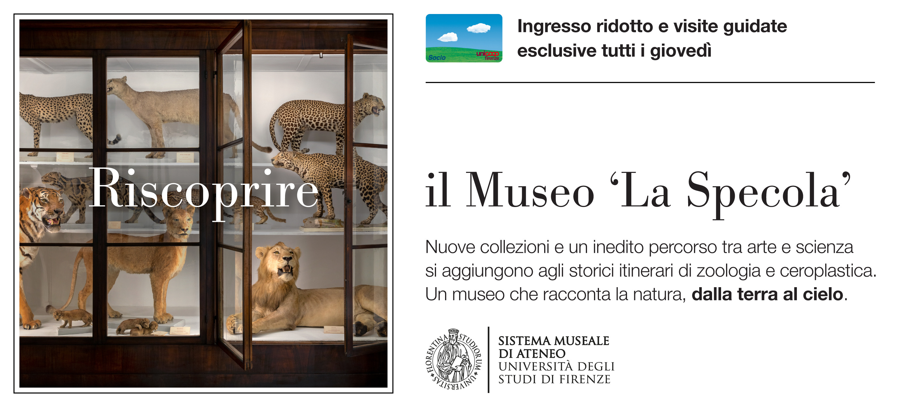 Museo di Storia Naturale, ‘La Specola’
